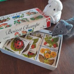 p48 森と畑のロトゲーム