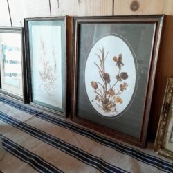 z151 押し花の額 花