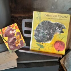 p56 秋の絵本セット