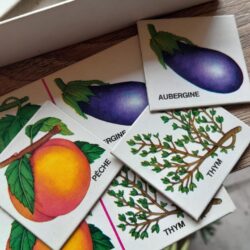 z183 ロトゲームセット 四季と庭