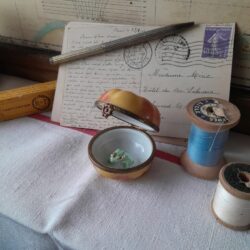 z213 カエルのピルケース